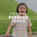 씨유 경주노동점 | 경주 대릉원 포토존 아기랑 가볼만한 곳 입장료 주차장 위치