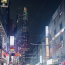 소포모어(sophomore) | 송리단길 브런치 소포모어 롯데콘서트홀 주변 맛집
