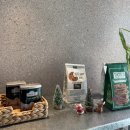 연화 | 부산 기장 예쁜카페 애견동반카페 연화점빵 후기