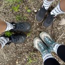 88약수터 | 울릉도여행 4박5일 3일차 여행후기(나리분지,나리촌,울라전망대)