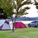 농업회사법인주식회사 태신목장 이미지