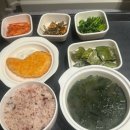 함박약국 | 없어지길 바랐던 시간의 끝 | 다빈치로봇수술 후기