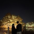 컴히얼네일 | 경주 야외 웨딩스냅 무색한, 컴히얼스튜디오 패키지 드론영상 포함인데 왜안함