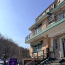 분당-339 이미지