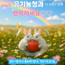 과일이맛있는집 - 서구 관저중로95번길 99 | 과일이맛있는집
