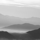 동다송 - 과천시 광창로 50 | 동다송