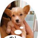 뉴월드동물병원 이미지