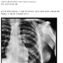 역대 노벨상 수상자 중 또라이 원탑 이미지