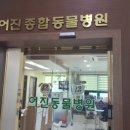 어진종합동물병원 이미지