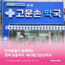 메디팜고운손약국 네이버블로그