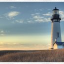 호호다방 이미지