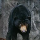 꼬마동물병원 이미지