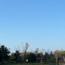 파인파크 이미지