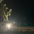 스노링케어 | 경기도 구암시 여행기록