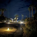 시장(바다수산) 이미지