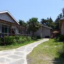 표선 휴 이미지