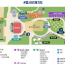 대구데이 페스티벌 이미지