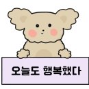 공간호프 - 동대문구 | 공간호프
