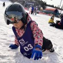 힐리 | 웰리힐리 스키강습 후기｜6세 첫 스키, 시그너리 스키스쿨에서 시작했어요