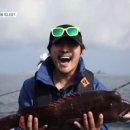 도시어부 이미지