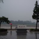 대황하