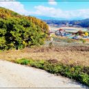 형국농장 이미지