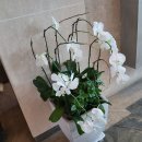 한탄리버스파호텔 이미지