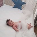 벌스데이스튜디오 이미지