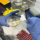 고려바이오(주) | [비긴랩]바이오제약 취업캠프2주차 후기