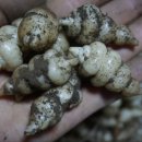 산모랭이 풀내음 이미지