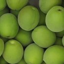 산이네농장 이미지