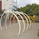 중곡어린이공원 이미지