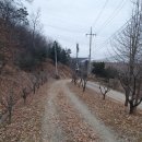 미르스테이 | 화운사 템플스테이 25.12.27-25.12.28