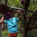 저두농장 이미지