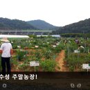 성구농장 이미지