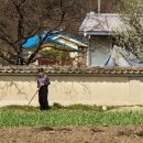 성뫼산성 이미지