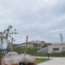 마마된장 동부산롯데테마파크점 이미지