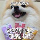 안덴탈랩 | 강아지덴탈껌 추천｜치석관리까지 챙기는 올인원 덴탈껌 후기