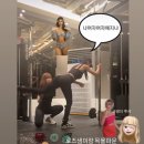 로즈(Rose) 이미지