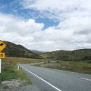 하얀 목장 이미지