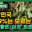 대한민국 99.9%는 모르는 장에 좋은 &#39;이것&#39; 최초발견 이미지