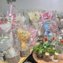 플라워 오브 아리엘 이미지