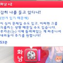 제드케어 네이버블로그