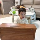 공구Da | 아기피아노 추천! 레노피아 베른호이체 25건반 후기 (내돈내산)
