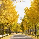 화랑체육공원 운동시설 이미지