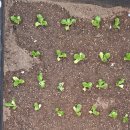 물금엔젤어린이집 이미지