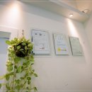 퍼피하우스 인천송도점 이미지