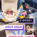 동백뚱 이미지