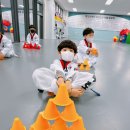 효성백호태권도장 이미지