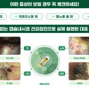 원 동물병원 이미지